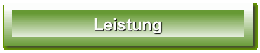 Leistung