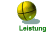 Leistung